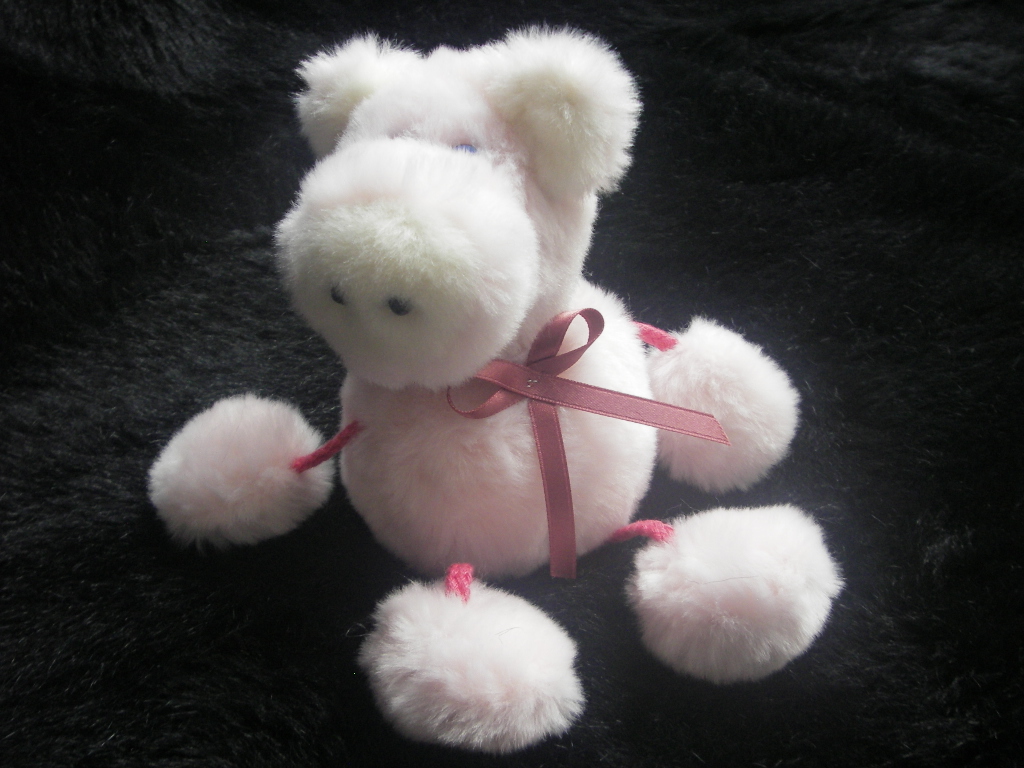 Workshop "Glückschweinchen nähen" – Bild 6