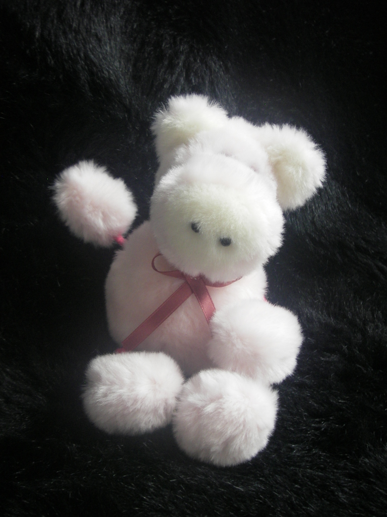 Workshop "Glückschweinchen nähen" – Bild 3