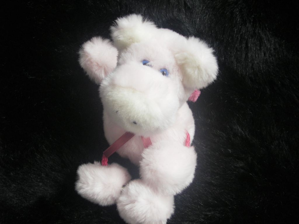 Workshop "Glückschweinchen nähen" – Bild 4