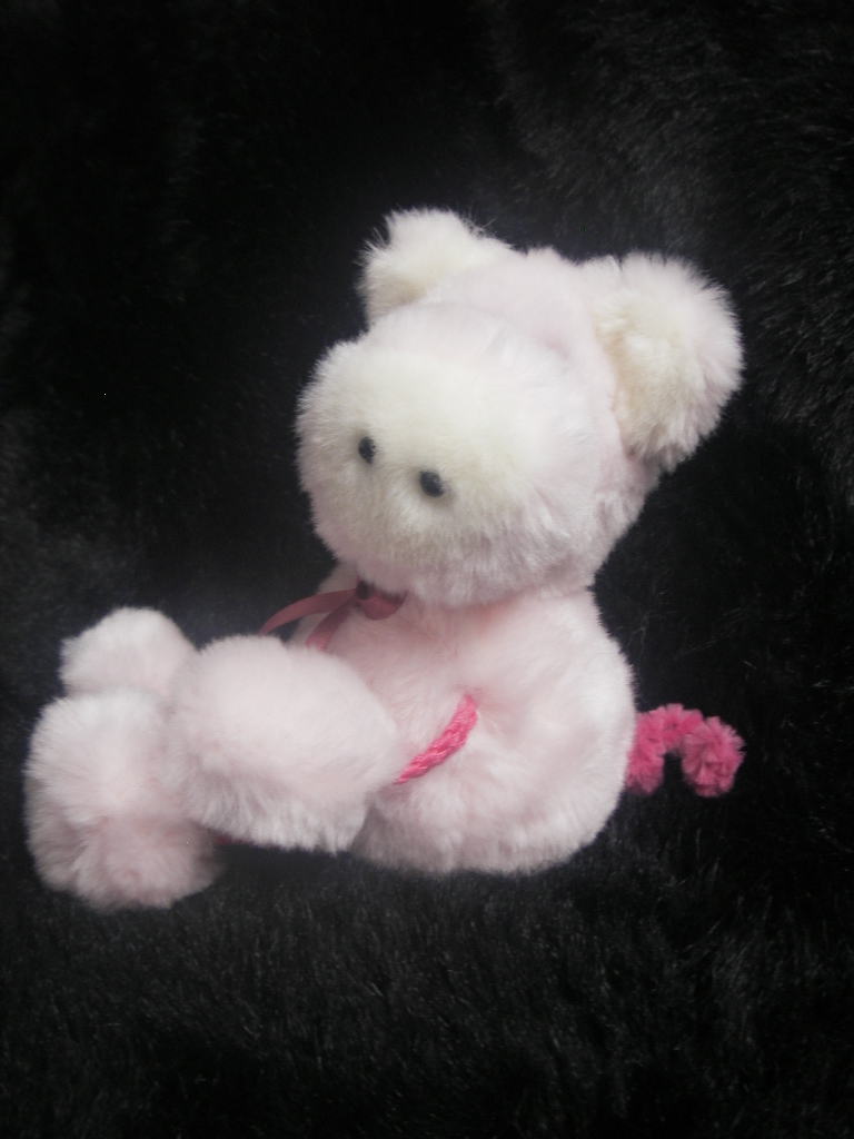 Workshop "Glückschweinchen nähen" – Bild 5