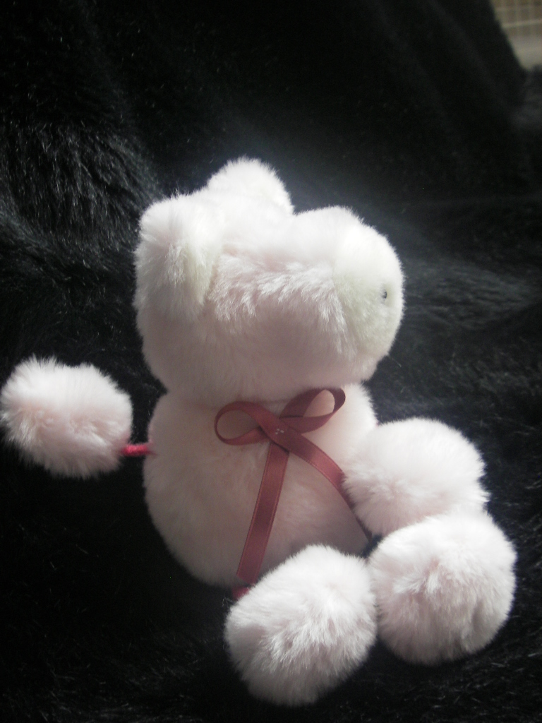 Workshop "Glückschweinchen nähen" – Bild 2